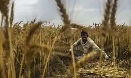 Centre allocates Rs 16,000 crore for PM Fasal Bima Yojana, up by around Rs 305 crore over previous fiscal year