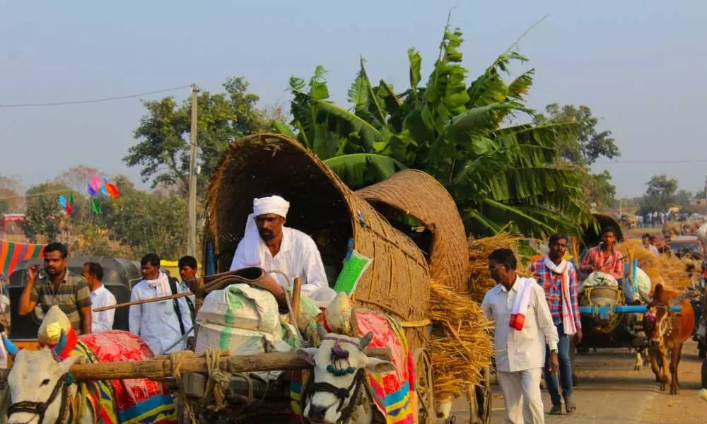 Adilabad: Nagobha Jatara Gets Kick-Started On 11th February