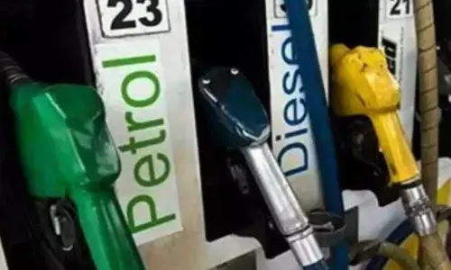 Petrol and Diesel