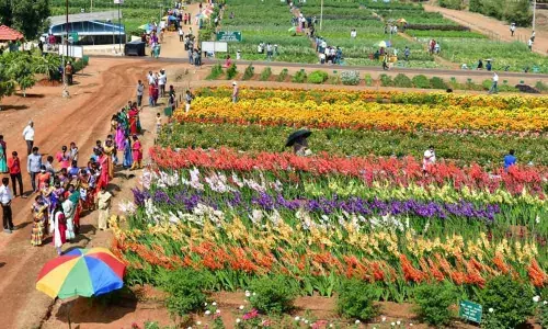 Overwhelming response to horticulture fair on day 2
