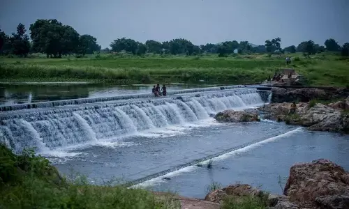 Srikakulam has potential for MSMEs: Collector