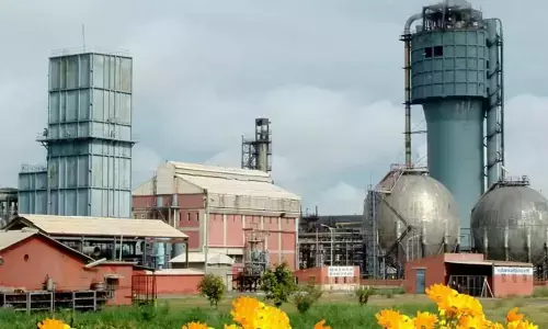 Government plans to sell 20% stake in National Fertilizers