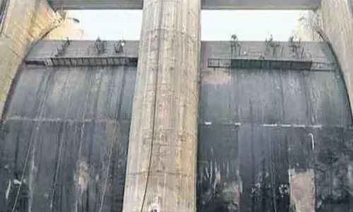 Andhra Pradesh: Megha completes construction of Polavaram spillway pillars