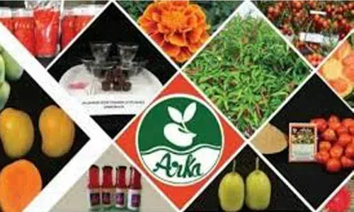 IIHR young scientist chairs NHF session