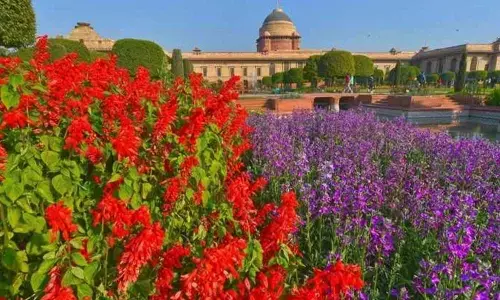 Mining the recesses of the human mind