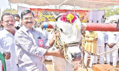 Minister Singireddy Niranjan Reddy inaugurates stone pulling competition