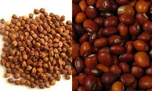 Purchases committee fixes prices for red gram, Bengal gram