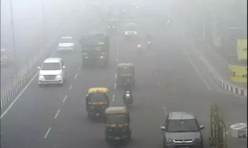 Minimum temperature in city settles below normal