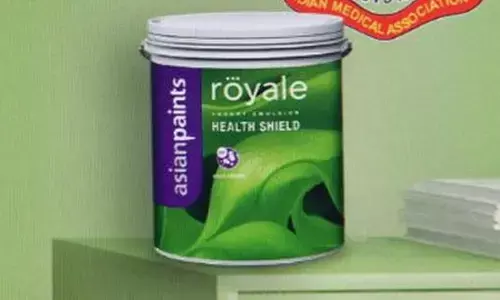 Asian Paints files petition as stalemate over jobs for land sellers continues