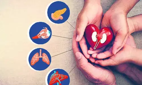 Brain dead gives fresh lease of life to 8