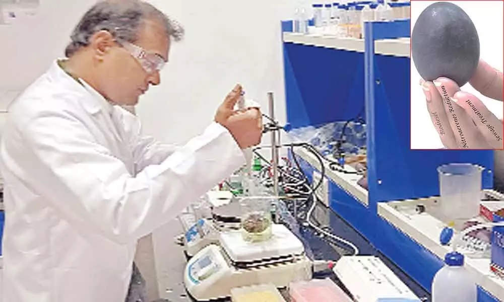 SRM faculty develops innovative jumbo catalyst