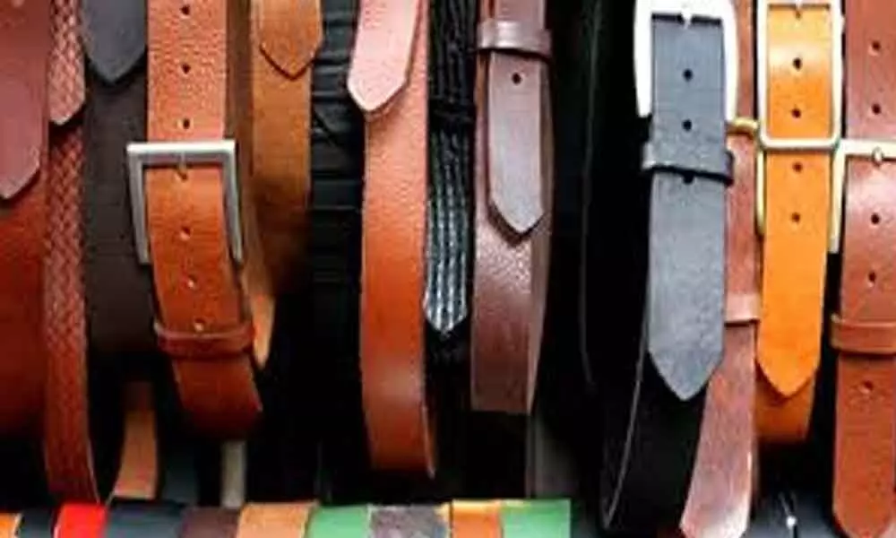 440 companies sends investment proposal of Rs.1370 crore in leather park