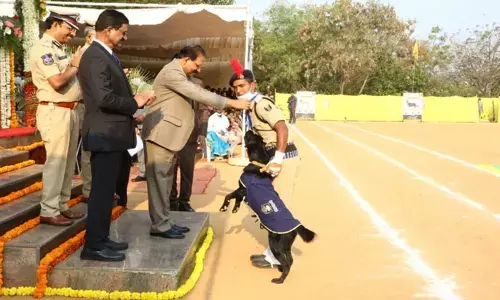 50 dogs ready to sniff out crimes