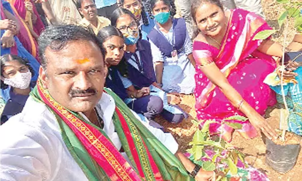 5.21 lakh saplings planted in Palamuru on KCR’s birthday