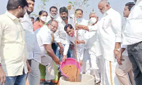 Shadnagar MLA Anjaiah Yadav among many take part in plantation drive