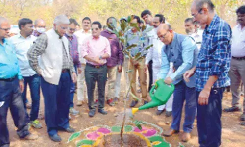 Bio-diversity park to be fully developed