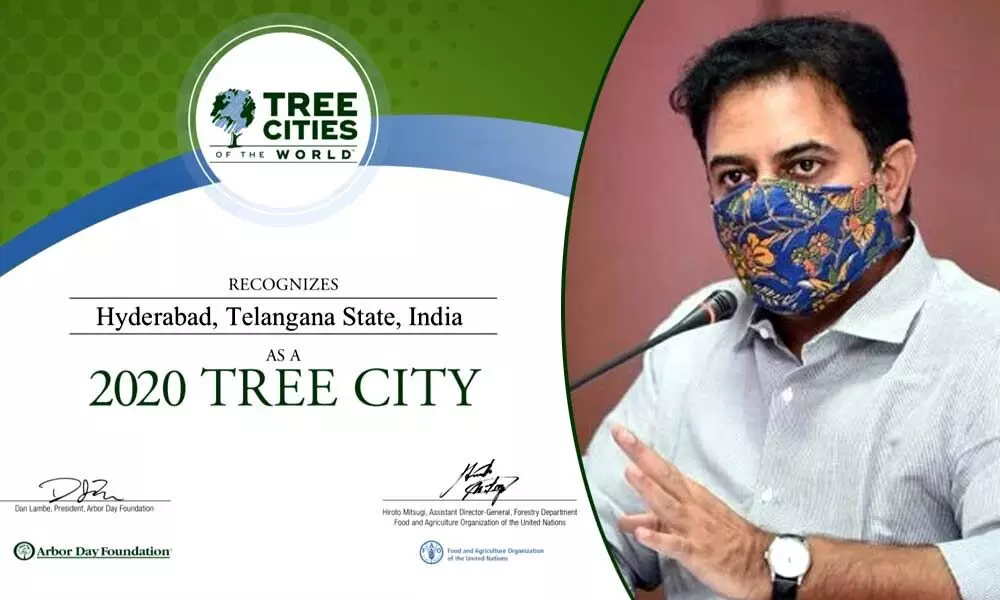 Hyderabad recognized as Tree city of world: KTR
