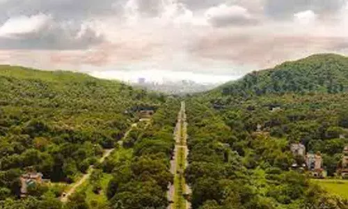 Trust writes to PM Narendra Modi on ‘environmental loot’ by Karnataka government