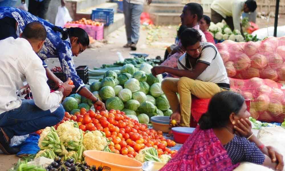 Bumper crop makes veggies' prices slump