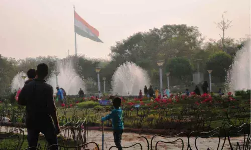 Parks witness heavy footfalls in January