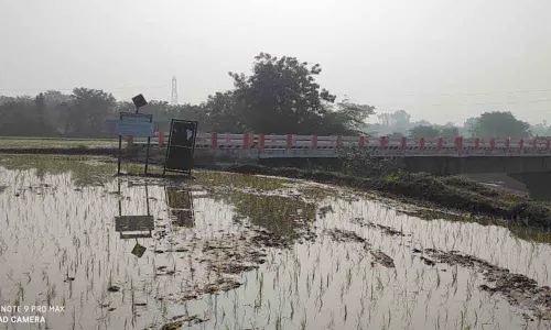 Bridge constructed on Edulla Vagu in Sujatha Nagar mandal
