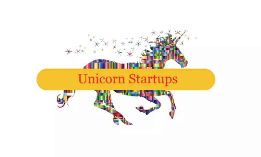 Capital, strategy key for creating unicorns