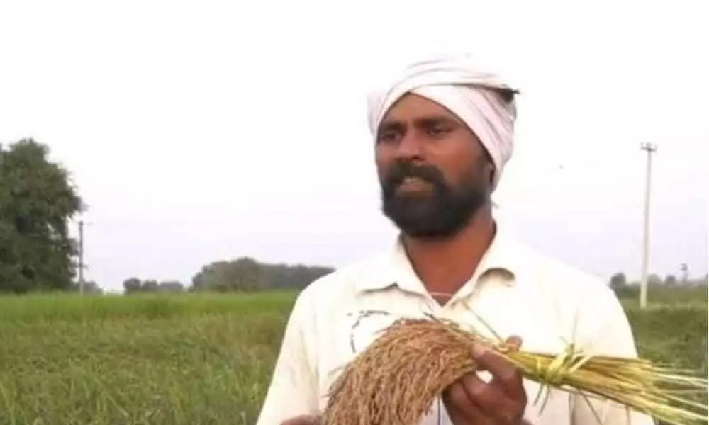 Karimnagar farmer grows this magic rice variety from Assam