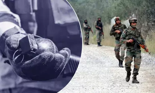 For representational purpose