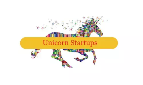 Capital, strategy key for creating unicorns
