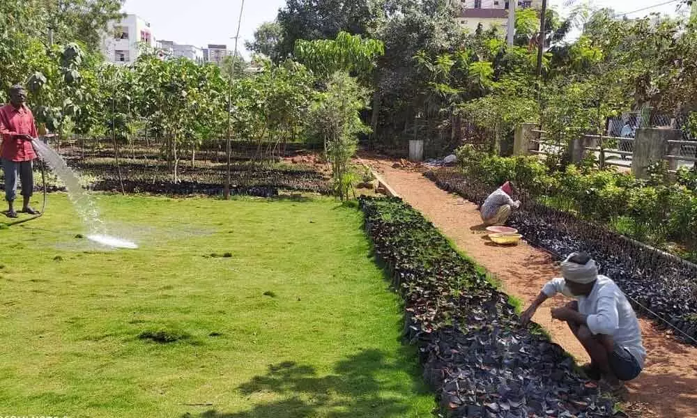 Move to expand greenery in Kukatpally zone