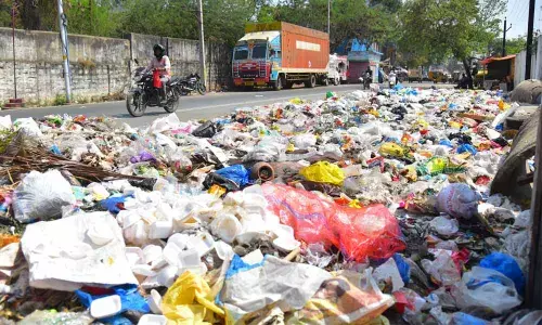 Garbage tossers make it tough for civic staff