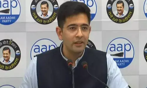 Delhi Jal Board vice chairperson Raghav Chadha