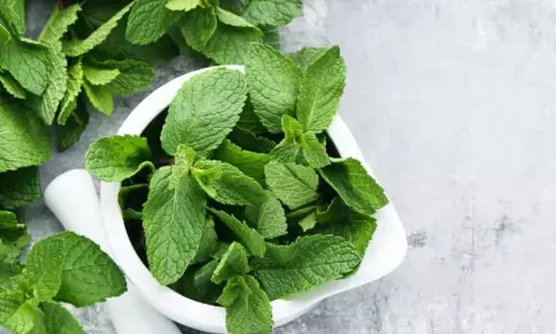 Mint leaves