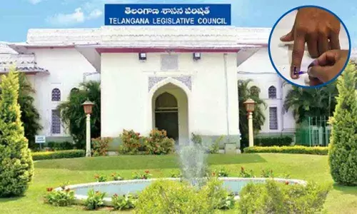 Parties in a quandary over slew of independents in Council poll fray