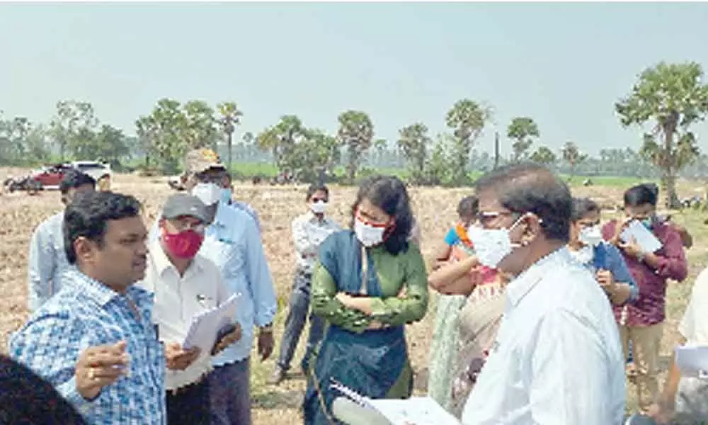 Joint Collector Keerthi Chekuri inspecting the layout works at Karapa village in East Godavari district on Saturday