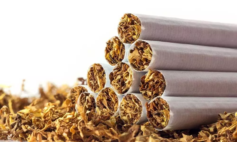 Tobacco sellers must have a licence: NLS report