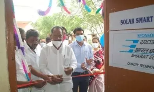 Minister threatens tough action against illegal abattoirs