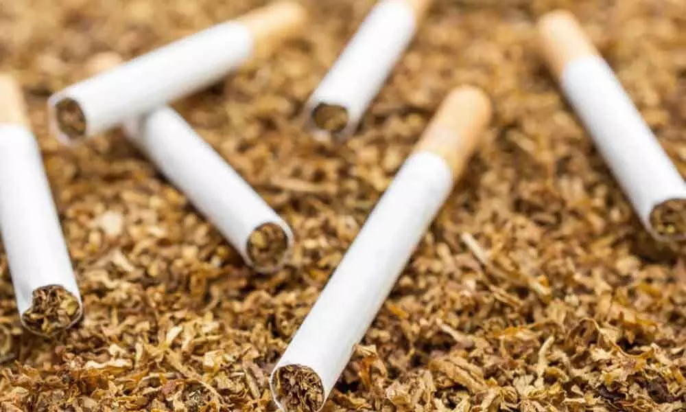 Tobacco should be sold only through licensed vendors: NLSIU Report