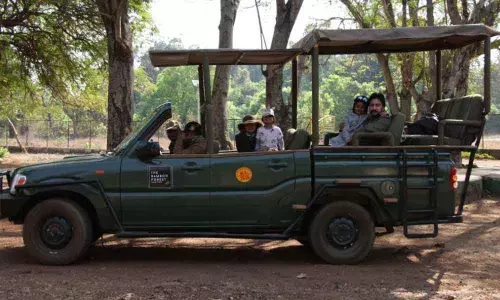 Deepshika Deshmukh Rings in Anniversary at Tadoba Tiger Reserve
