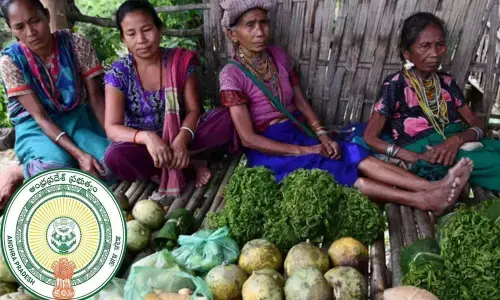 AP govt. decides to enhance value to tribal products by processing through Vandhan Vikas Centres