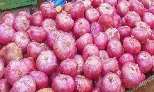 Onions