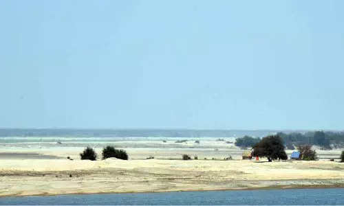 Depleting Godavari river leaves farmers worried