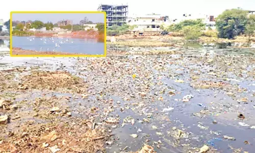 RTI queries on lakes plight go unheard