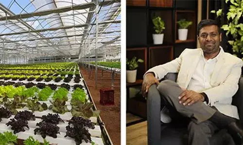 Startup harnesses hi-tech for pesticide-free veggies