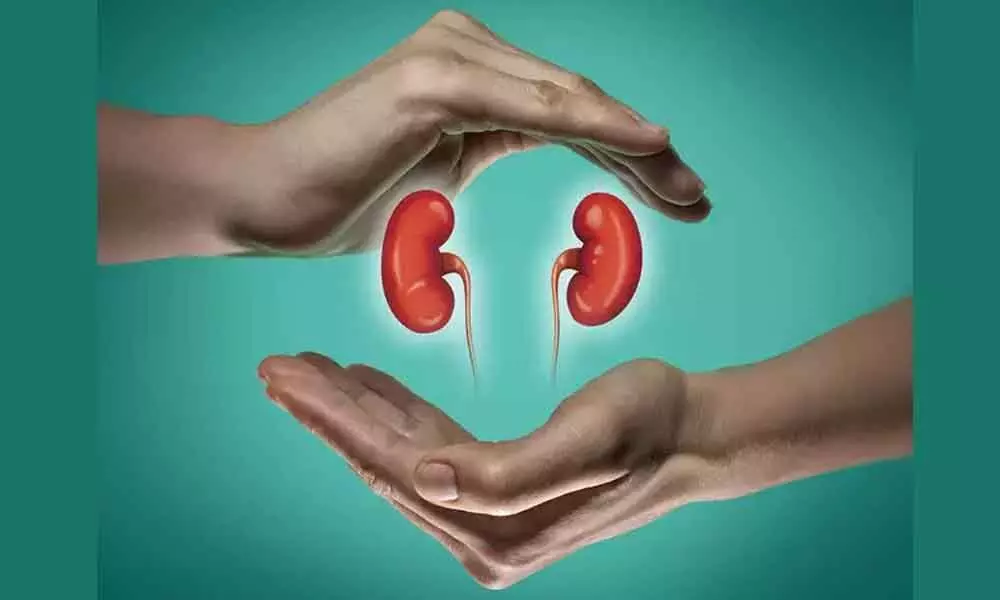 Early Detection of Kidney Disease can Save your Life