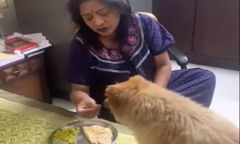 RGV’s tweets satirical of Mayor Gadwal Vijayalakshmi’s pet love