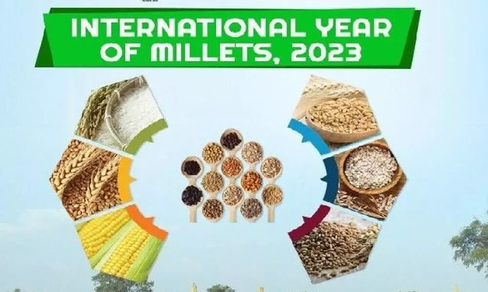 United Nation adopts India’s idea for 2023 as Year of Millets