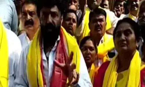 Balakrishna campaigned in Hindupur in Anantapur district on Thursday