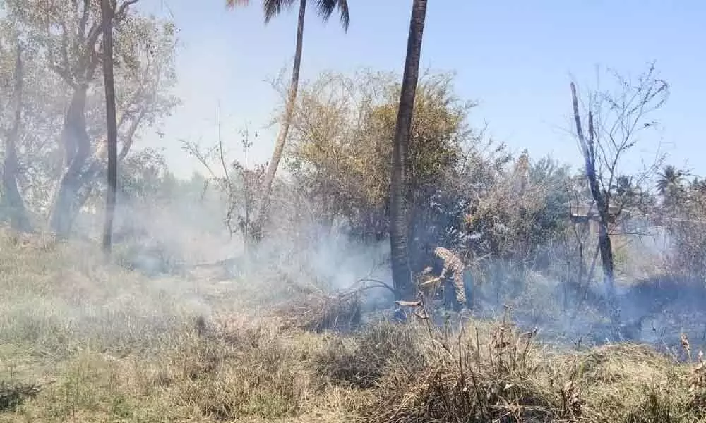 Fire at Bellandur, Varthur lakes triggers panic