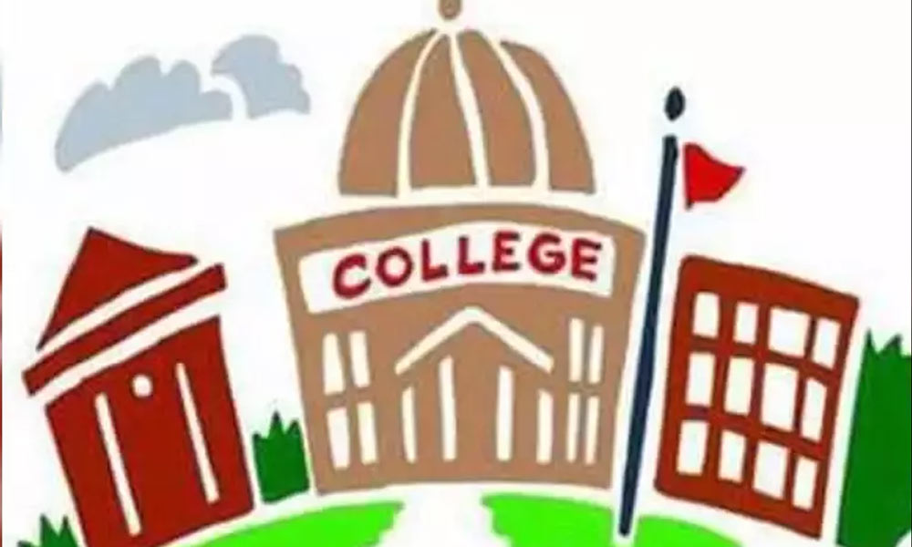 Special colleges not required for blind